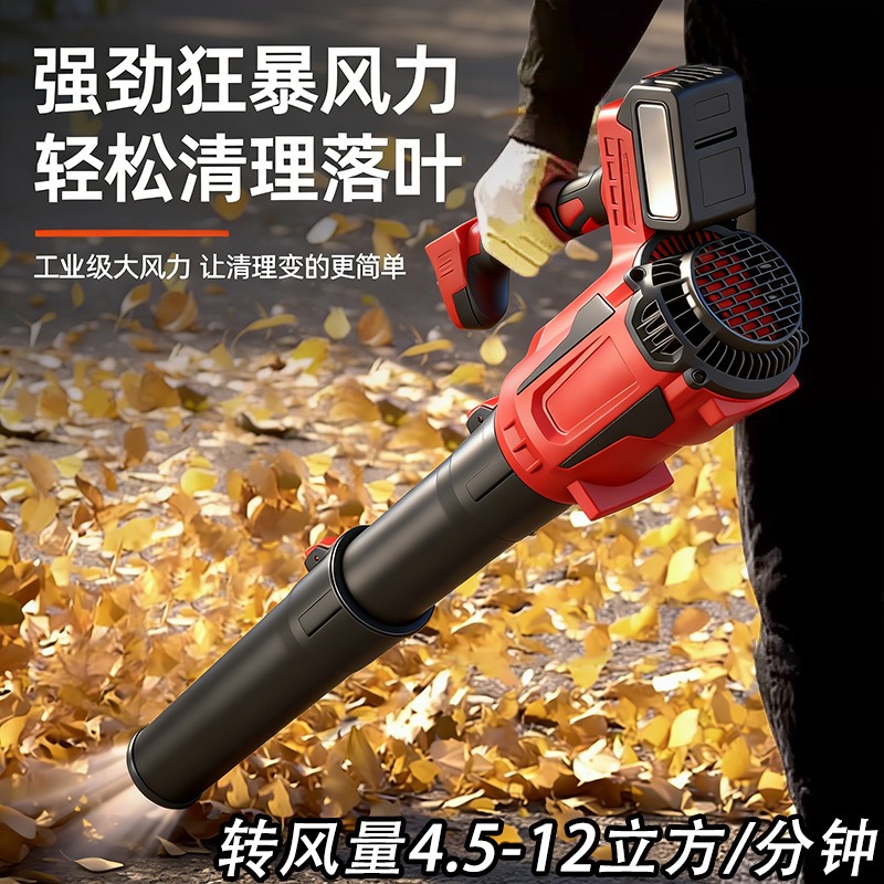 Original Lithium-ion Leaf Blow - đánh giá và giá Outdoor Power Tool Kit